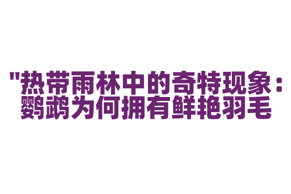 "热带雨林中的奇特现象：鹦鹉为何拥有鲜艳羽毛？"